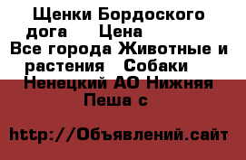 Щенки Бордоского дога.  › Цена ­ 30 000 - Все города Животные и растения » Собаки   . Ненецкий АО,Нижняя Пеша с.